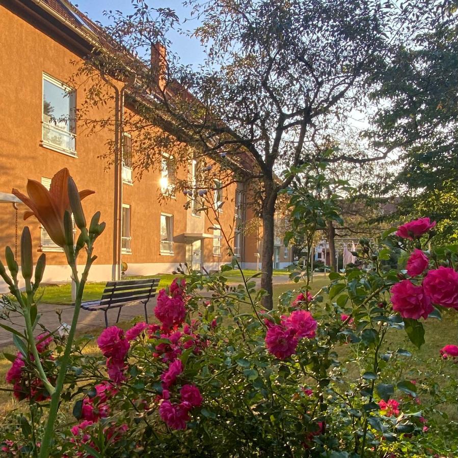Appartement Casa Heideweg Mit Tg Direkt An Der Heide E-bike Dresden