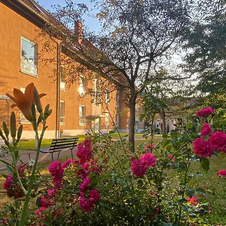 Apartment Casa Heideweg mit TG direkt an der Heide plus E-Bike Dresden Exterior foto